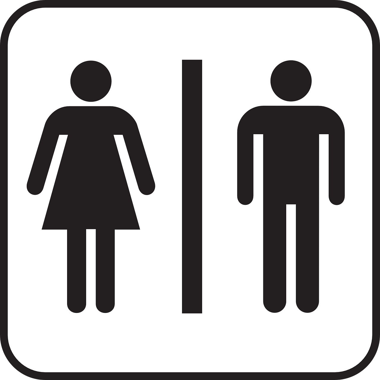 Montering af toilet – Kan du selv udskifte toilettet eller er det et job for en autoriseret vvs installatør?